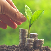 Stacks of coins with a small plant growing behind them.